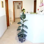 Luca Hotel Lido di Camaiore