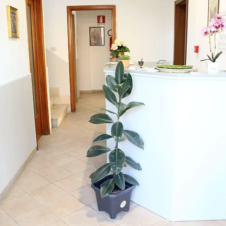 Luca Otel Lido di Camaiore